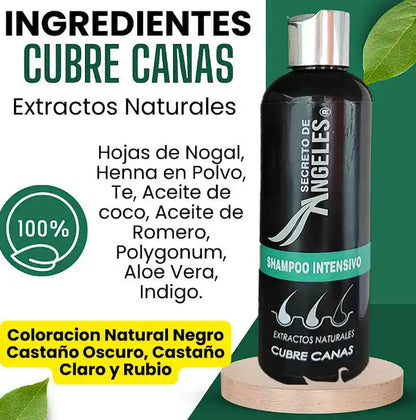 CHAMPÚ CUBRECANAS + 2 REGALOS GRATIS🎁